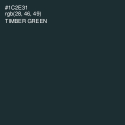 #1C2E31 - Timber Green Color Image
